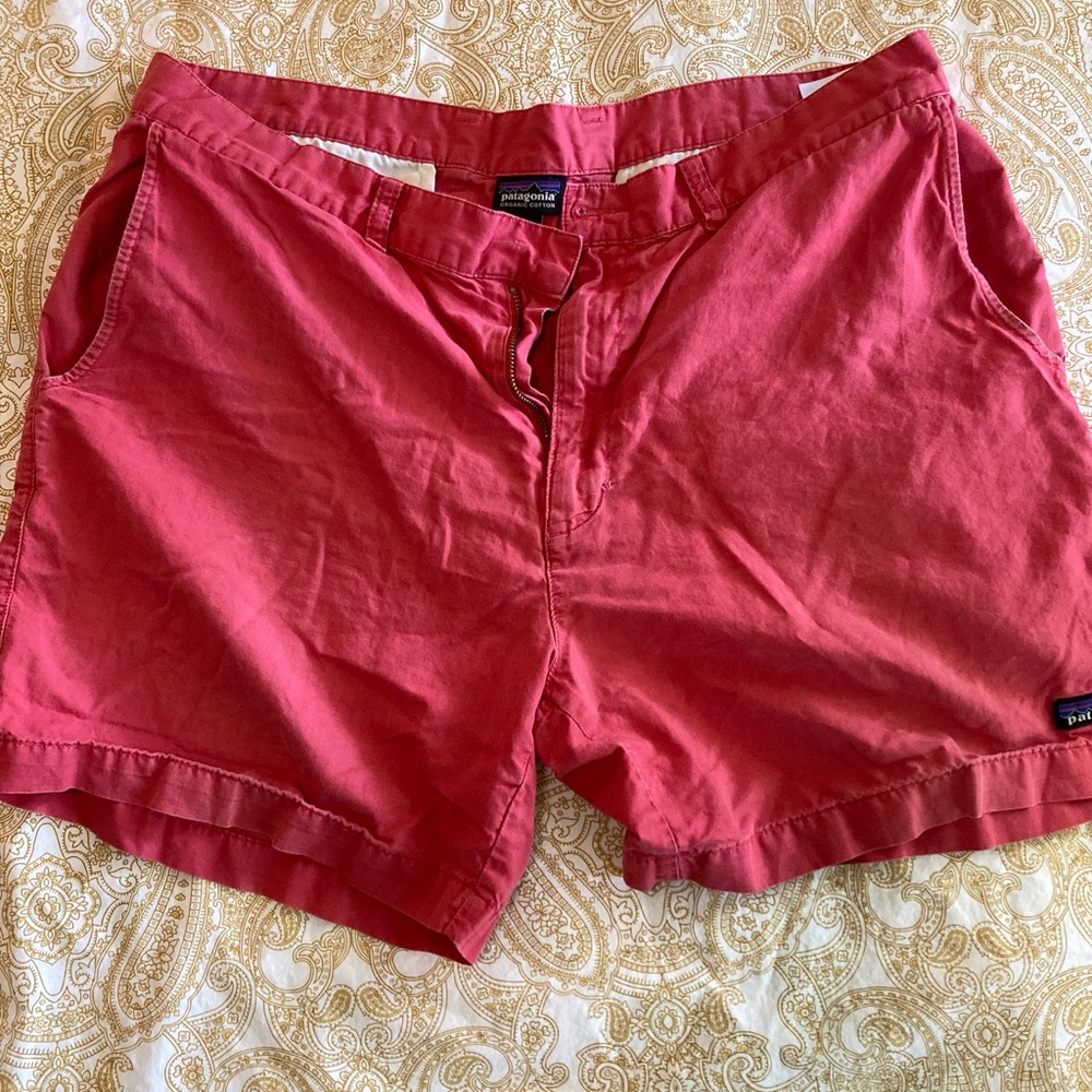 Patagonia Men’s Shorts